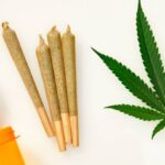 d8 pre rolls