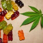 Mastering Your Dose: A Guide to Using D9 Gummies Effectively